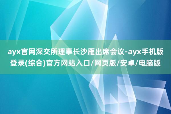 ayx官网深交所理事长沙雁出席会议-ayx手机版登录(综合)