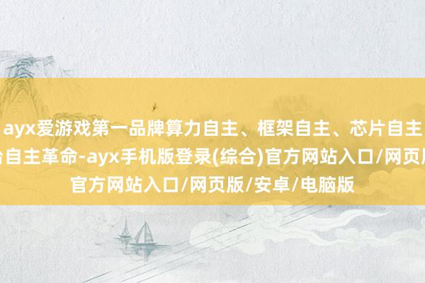 ayx爱游戏第一品牌算力自主、框架自主、芯片自主及配套软件平